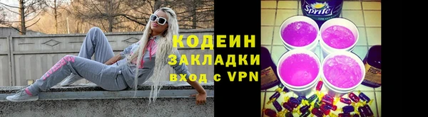 твердый Магас