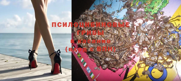 дурь Ладушкин