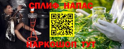 дмт Камышлов