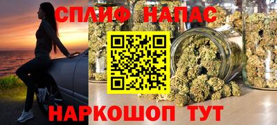 дмт Камышлов