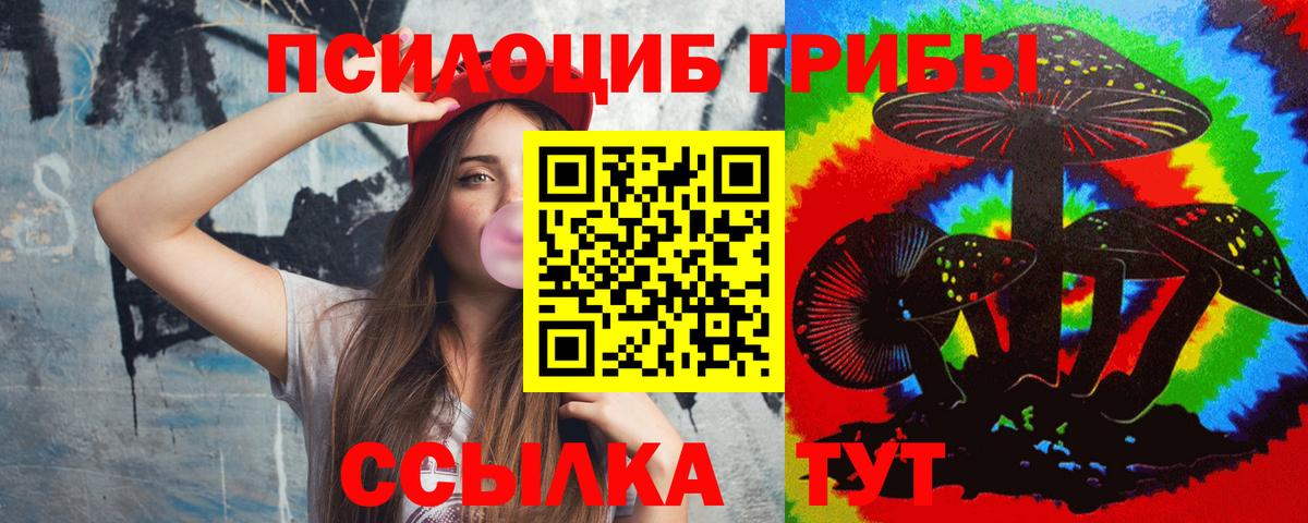 Псилоцибиновые грибы Cubensis  Вход с VPN  Лесозаводск 