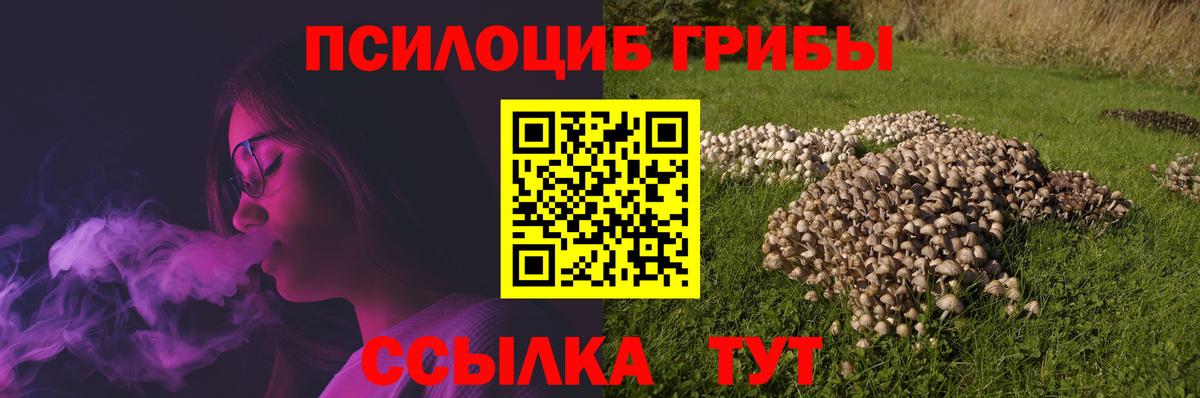 Галлюциногенные грибы Cubensis Лесозаводск